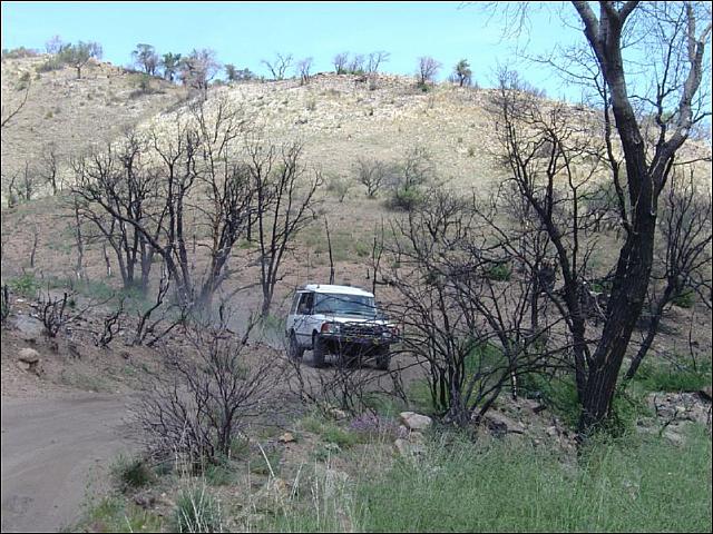 Rob drives past the burned out trees