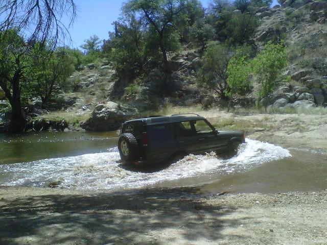 D2 having fun at the water hole