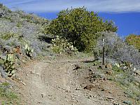 07-SIGN-Fire_Road_597