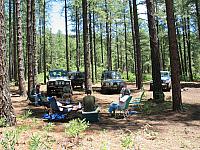 We all break for lunch in the pines