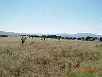 Arizona's Serengeti Plain