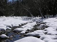 snowy_creek_bed-01.jpg
