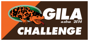 G4-Gila-Challenge