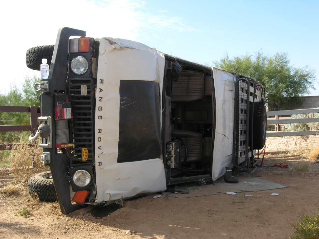 Well, shit. I killed it.