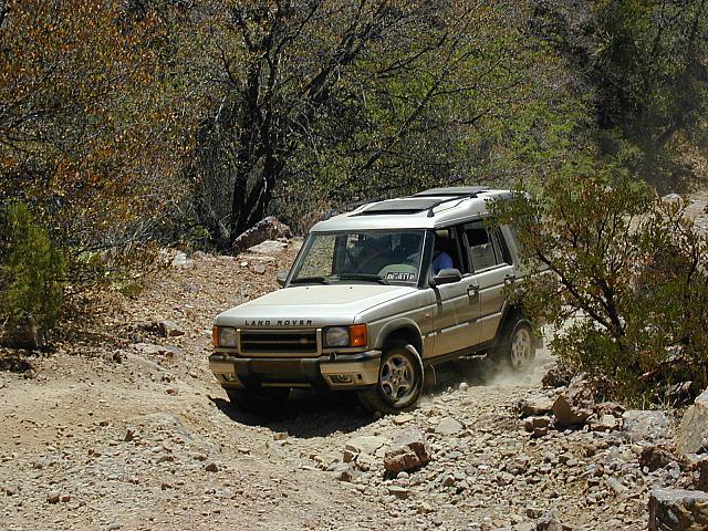 Dealership Disco takes on the hill