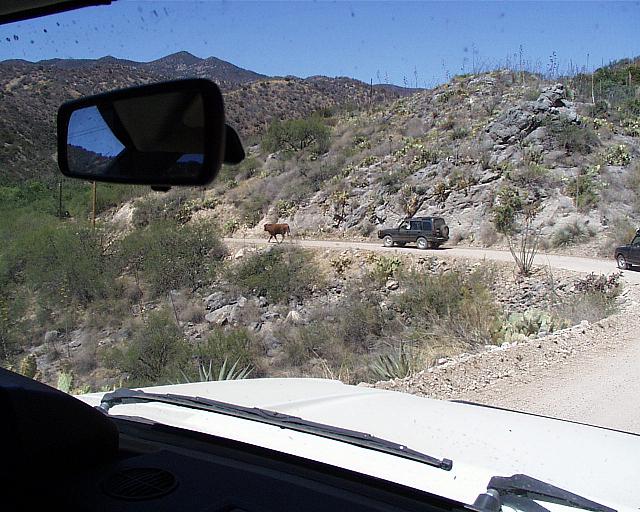 We found the beef, it's in the way