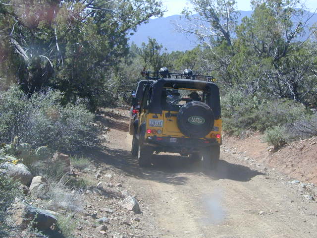 04-group004-reddog_tigger