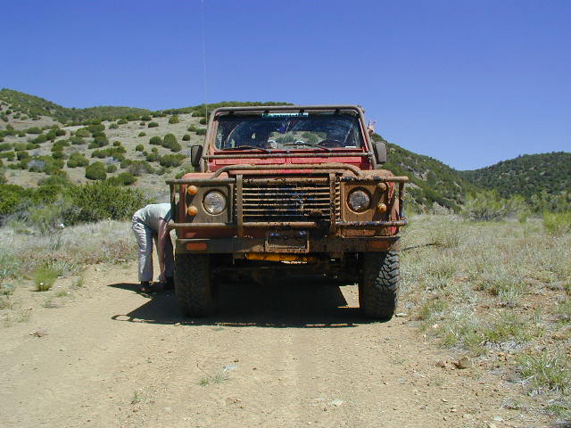 06-reddog003-muddy