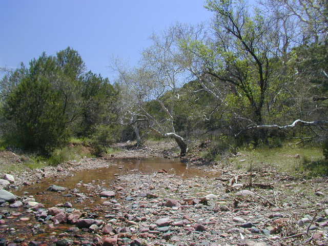 17-streambedandtrees001a