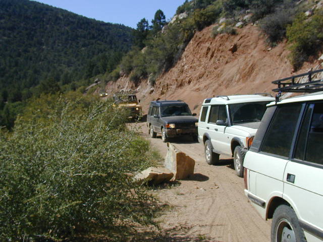 25-group008-chad_guddog_joe_tigger