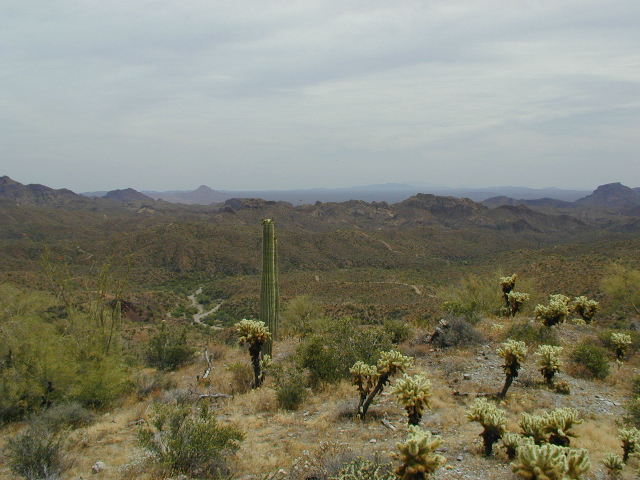 29-P1b-20010527-131654