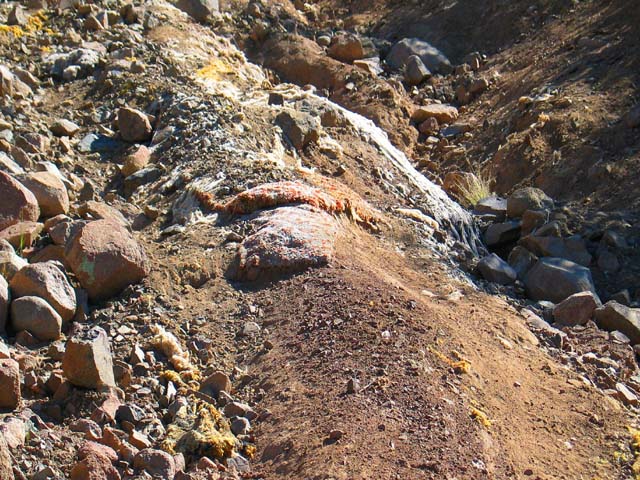 The Rug Road.  Old carpet covered a 2/3 mile stretch of steep, rocky hill climb.