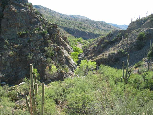 A nice canyon view from the Copper Creek road.