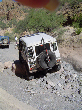 Leo having a little fun