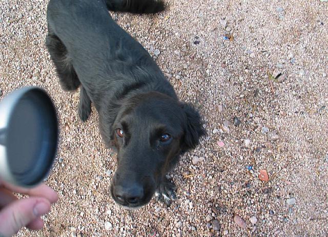 Shadow mugs for the camera