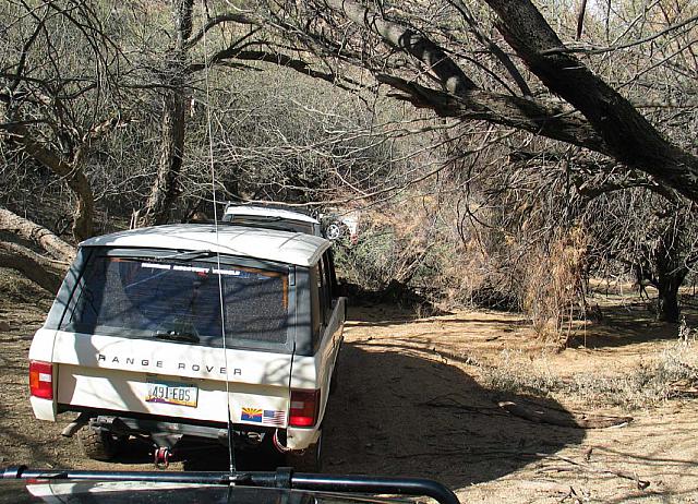 Making our way through the thicket by the river