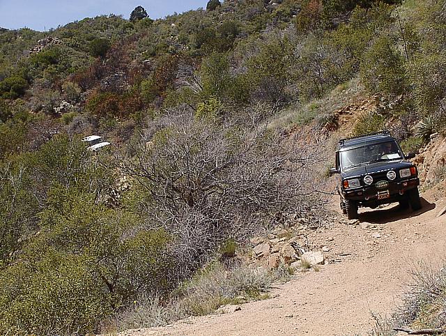 Jon leads the group out of the brush