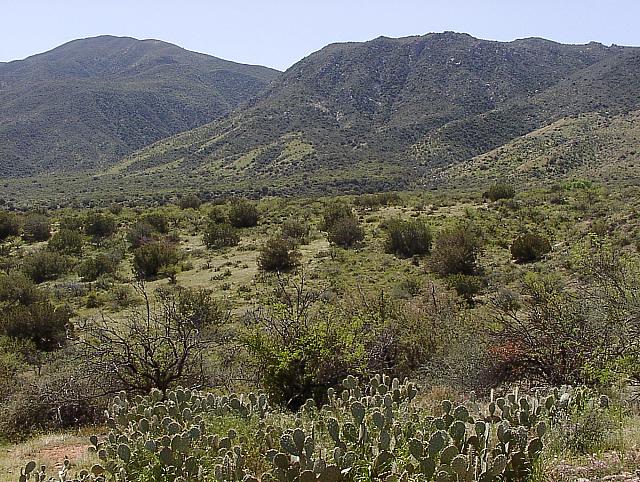Down from Reno Pass, looking back at the hillside
