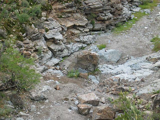 Rocks in the trail