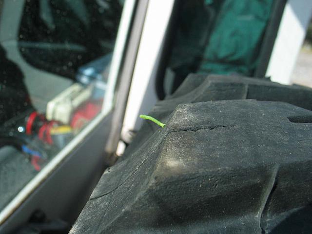 Trail ride's over.  An inchworm on the spare tire.