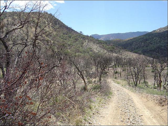 The trail is a bit burned out.