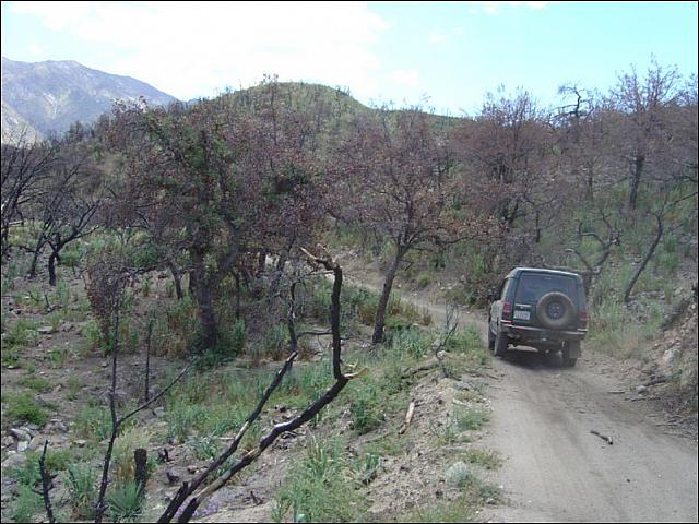 Jon heads up the trail