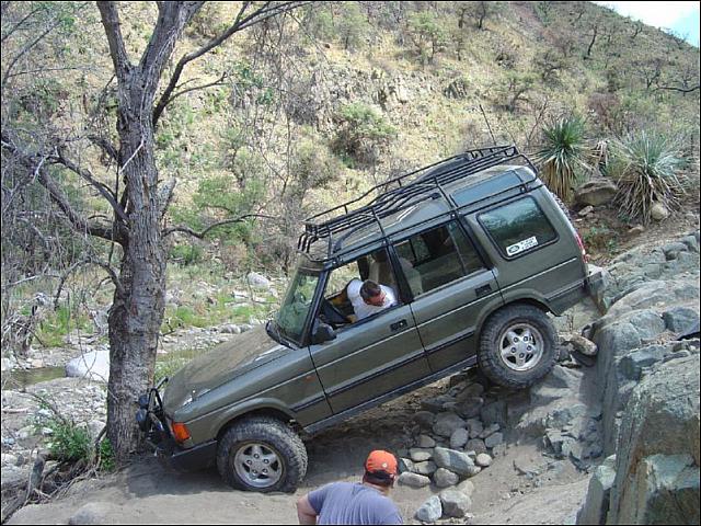 Mike decides to backup after realizing the tree just won't budge