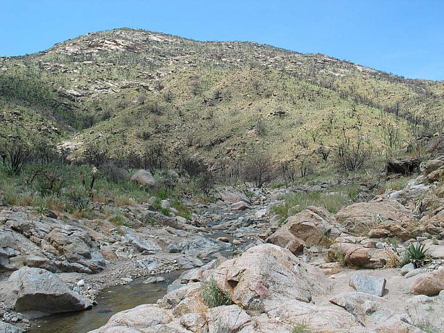 The recent fires have changed this landscape