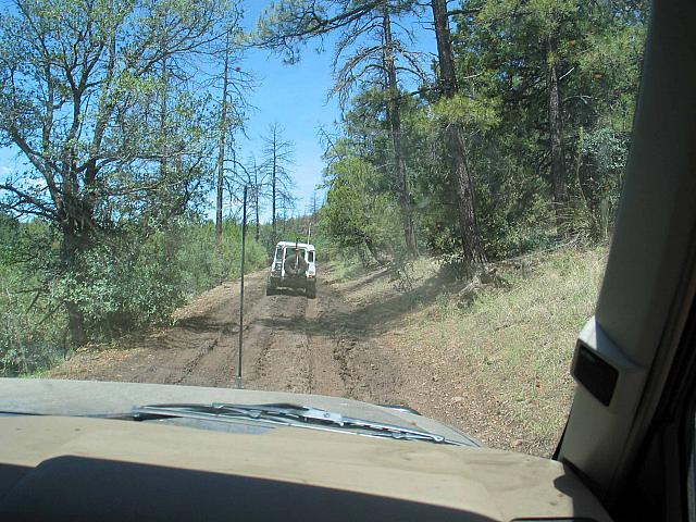 Leo Makes his way down a muddy trail.