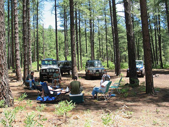 We all break for lunch in the pines