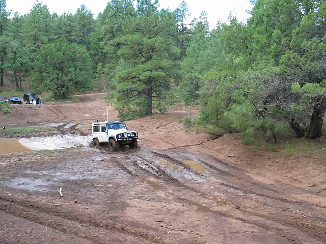 Leo charges through the mud unaware that the ranger is watching.