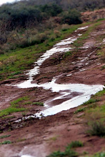 It's so wet the water's not soaking in any more.
