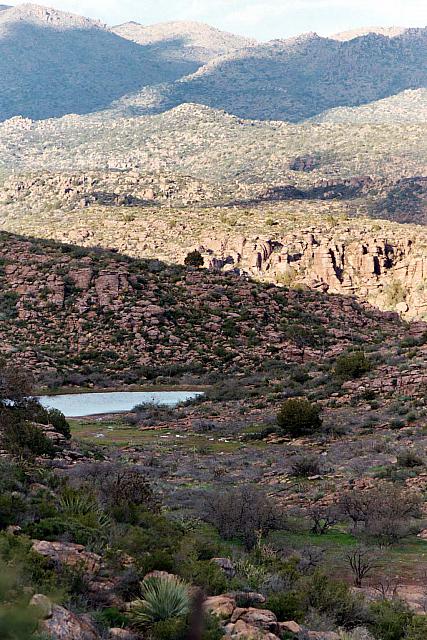 Nice and green out there