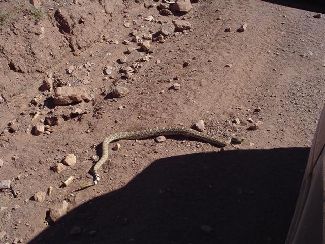 2nd one we seen today....