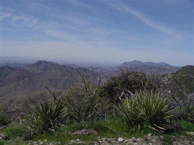 View toward Phoenix