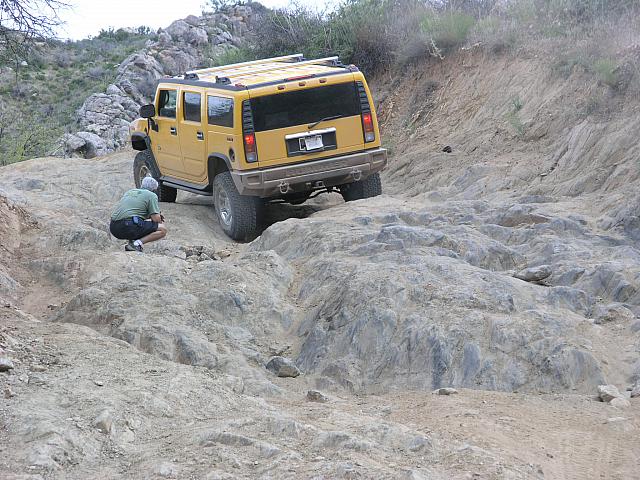 Leo_watching_for_clearance