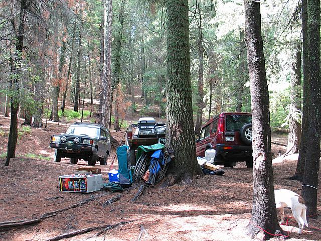 Some rovers on mount lemon