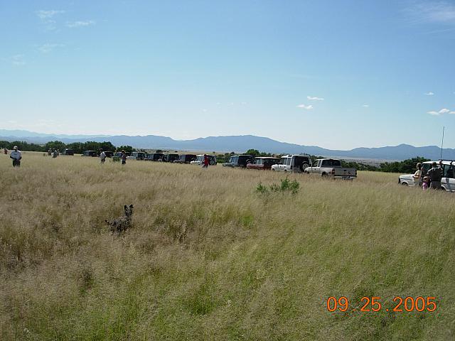 Arizona's Serengeti Plain