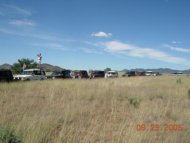 Arizona's Serengeti Plain lineup