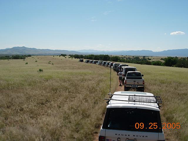 Arizona's Serengeti Plain lineup