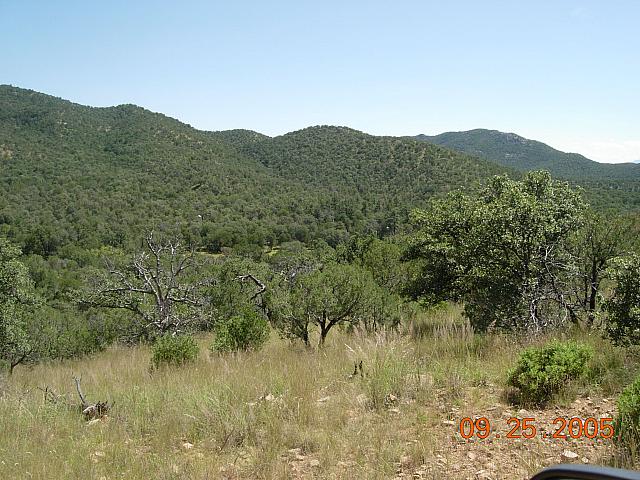 Sunnyside site - look closely