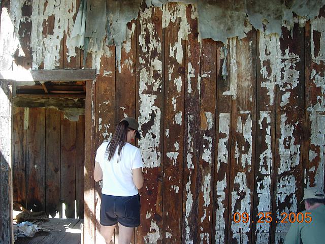 Donna reading the Sunnyside wallpaper