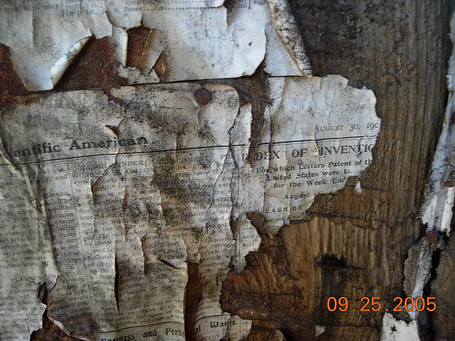 Sunnyside wallpaper 4