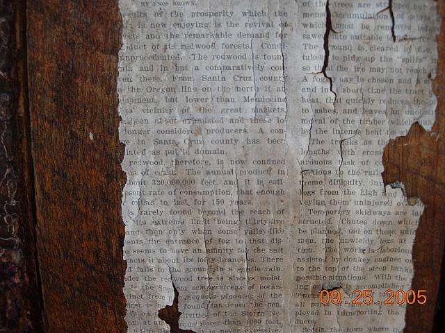 Sunnyside wallpaper 6