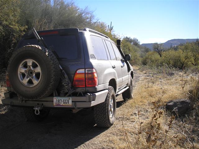 Vegetation along Boulder Creek was swesome!