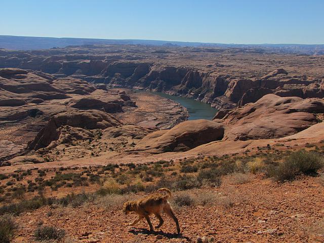 DAY3-20101008-101219-P11