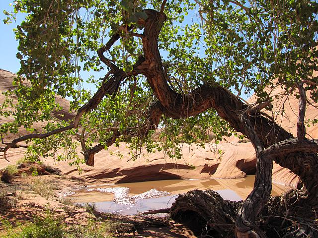 DAY3-20101008-115946