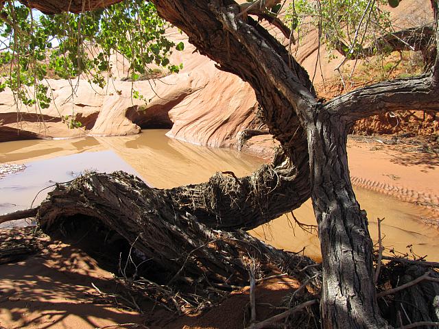 DAY3-20101008-120016