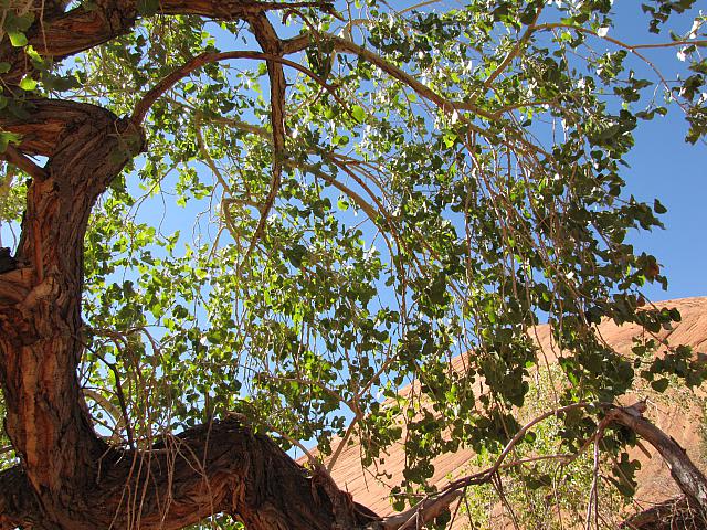 DAY3-20101008-120022