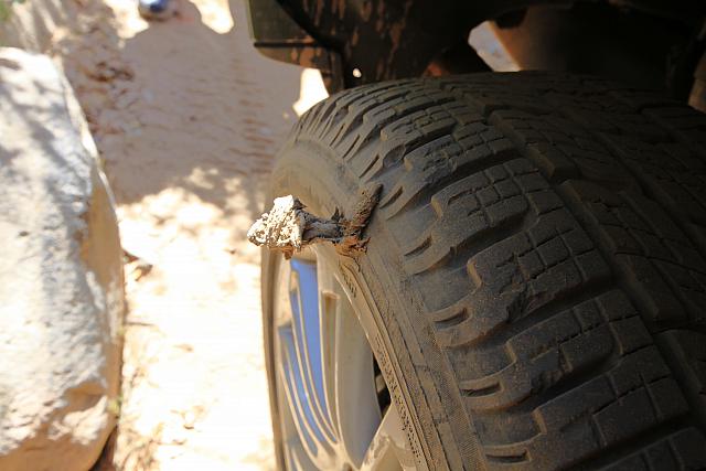 2011 04 30 1582 copy